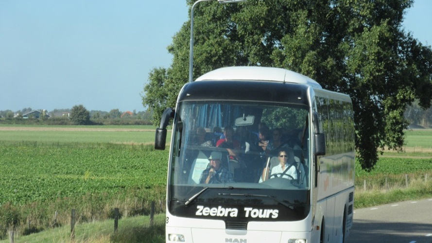 Zonnebloem afdeling