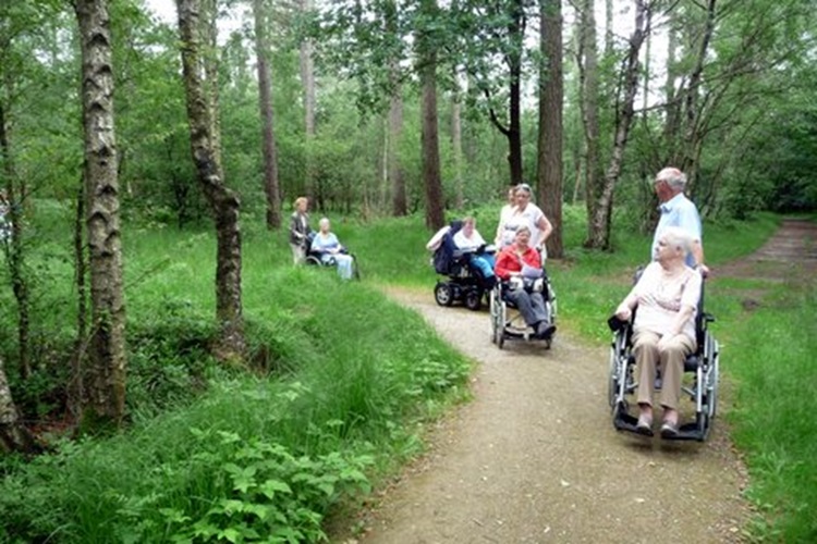 Zonnebloem afdeling