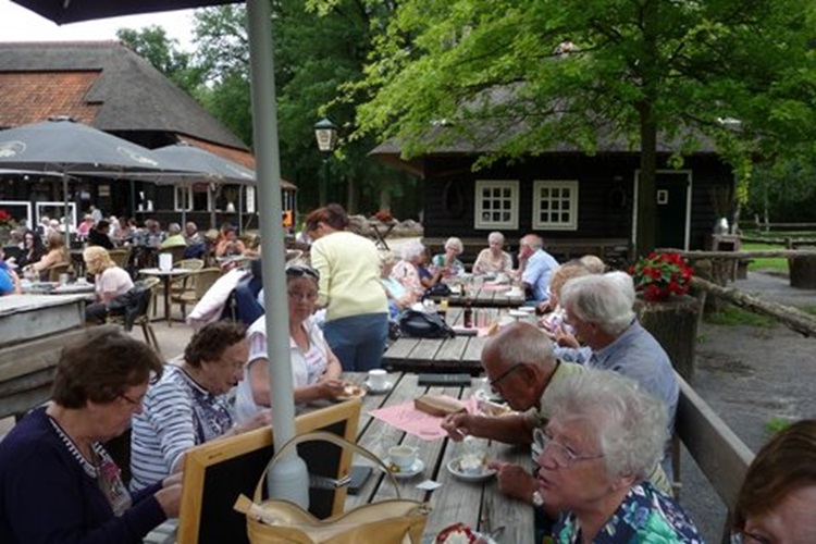 Zonnebloem afdeling