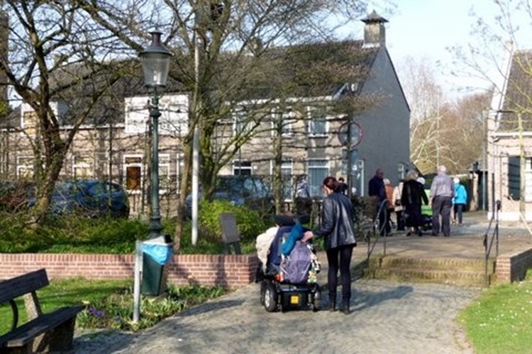 Zonnebloem afdeling