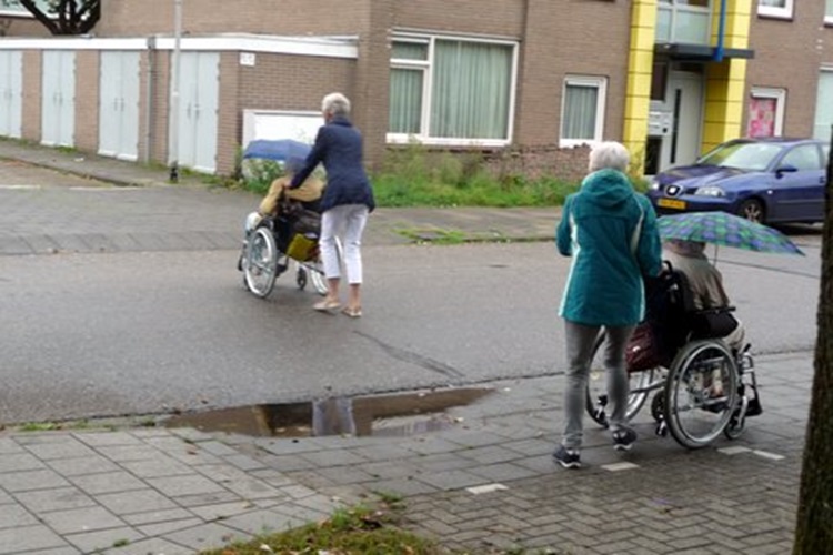 Zonnebloem afdeling