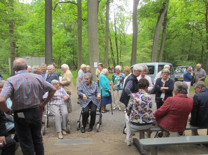 Zonnebloem afdeling