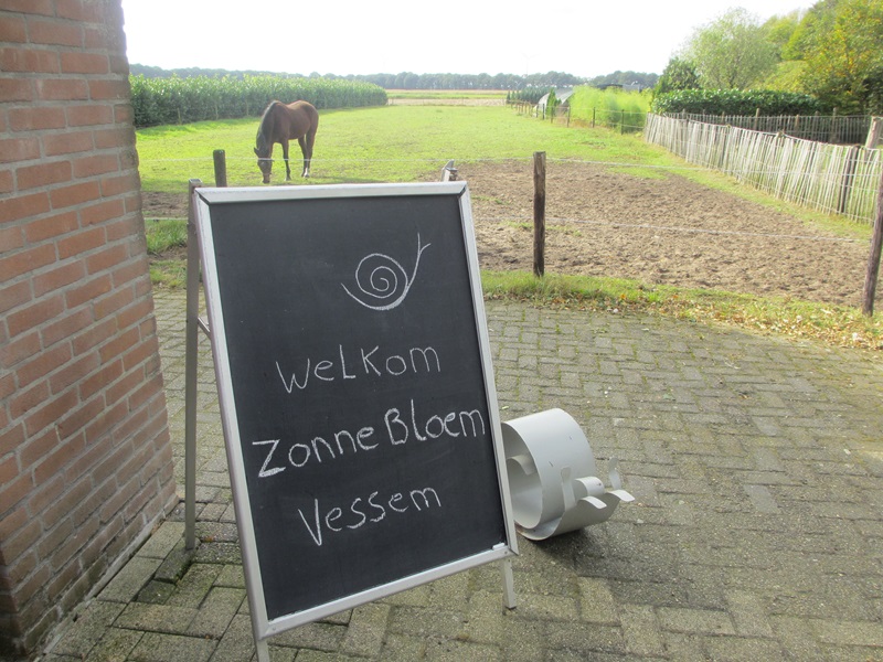 Zonnebloem afdeling