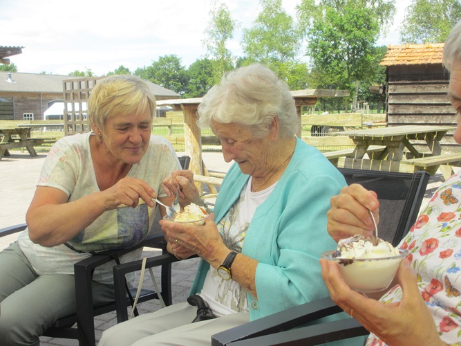 Zonnebloem afdeling