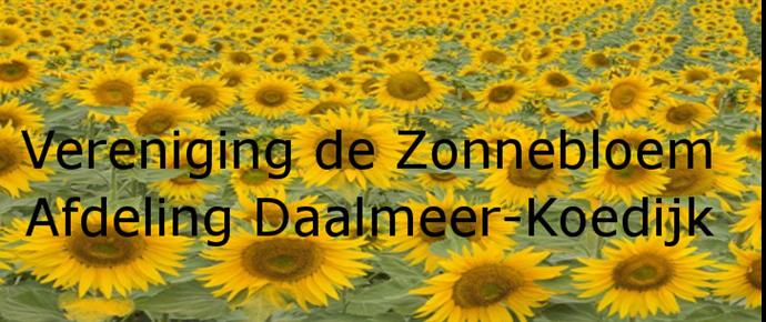 Zonnebloem afdelingswebsite