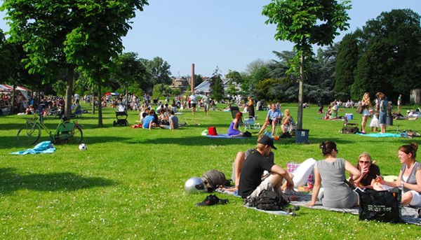 Zonnebloem afdelingsnieuws