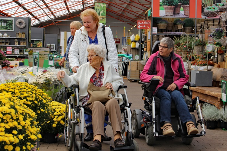 Zonnebloem afdeling