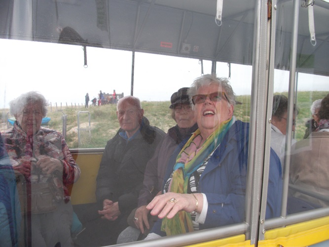 Zonnebloem afdeling