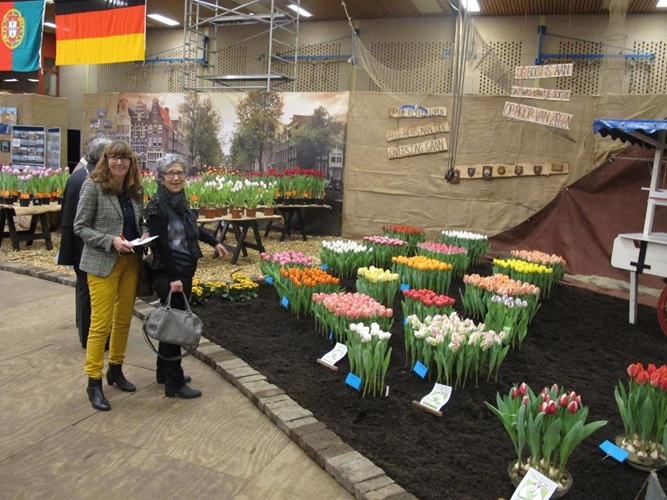 Zonnebloem afdeling