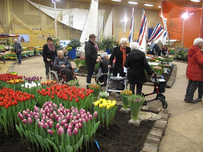 Zonnebloem afdeling