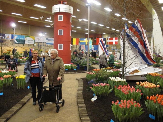 Zonnebloem afdeling