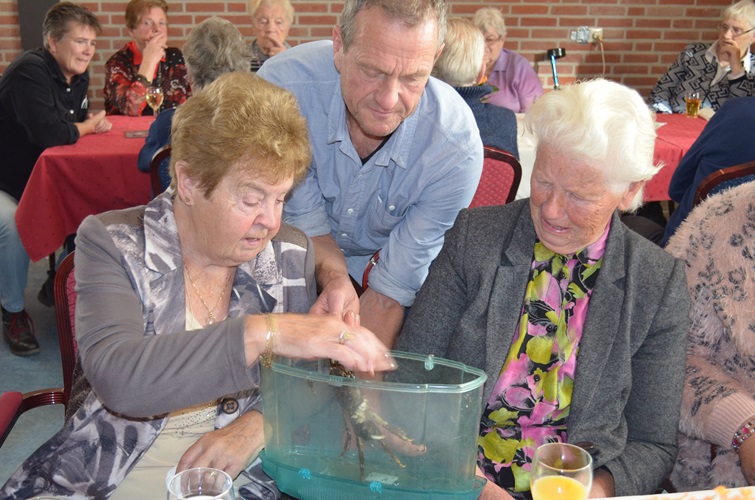 Zonnebloem afdeling