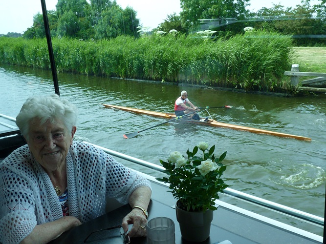 Zonnebloem afdeling