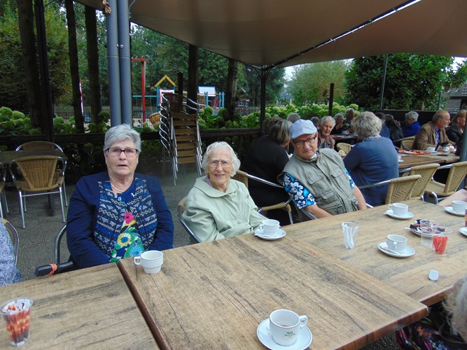 Zonnebloem afdeling