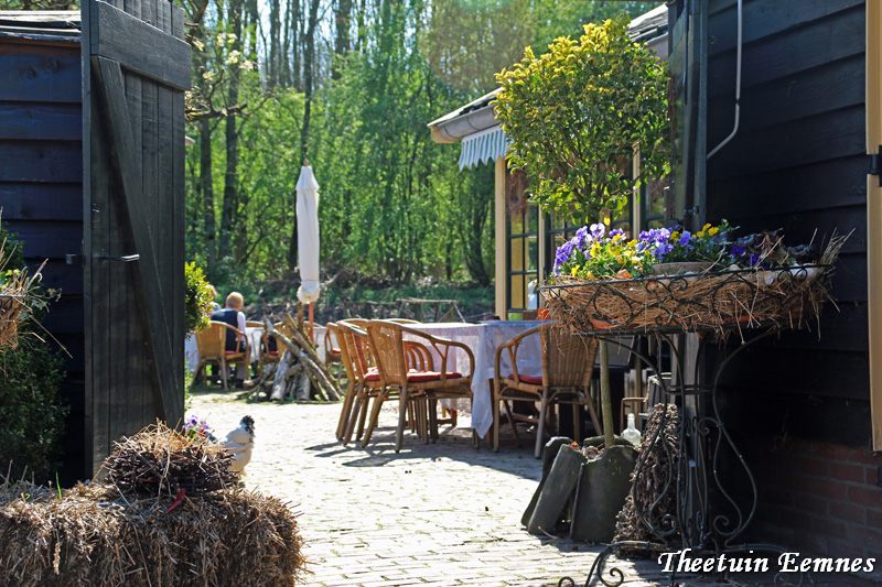 Zonnebloem afdelingsnieuws