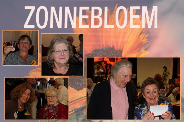 Zonnebloem afdeling