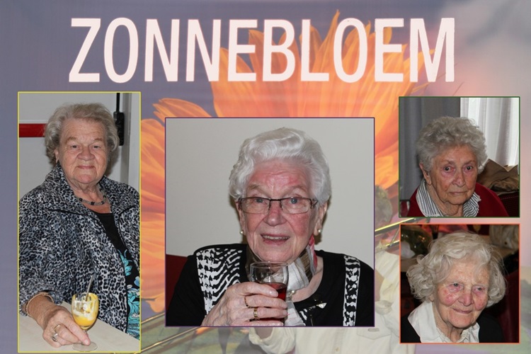 Zonnebloem afdeling