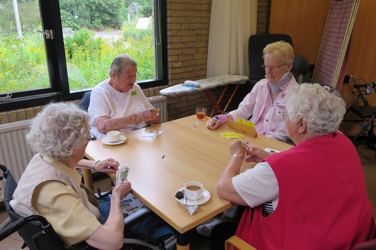 Zonnebloem afdeling