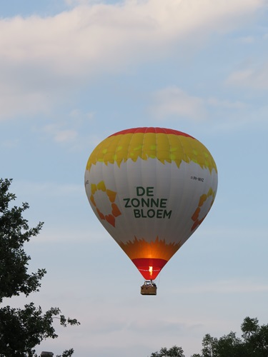 Zonnebloem afdeling