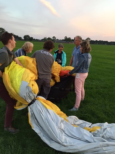 Zonnebloem afdeling