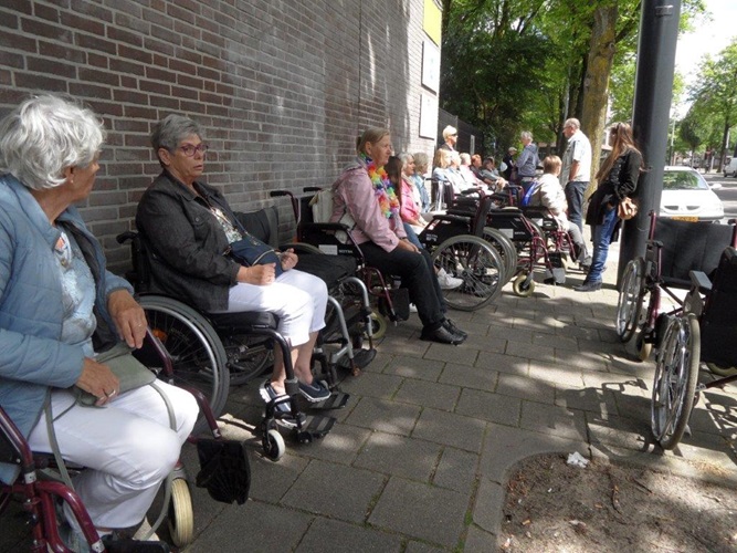 Zonnebloem afdeling