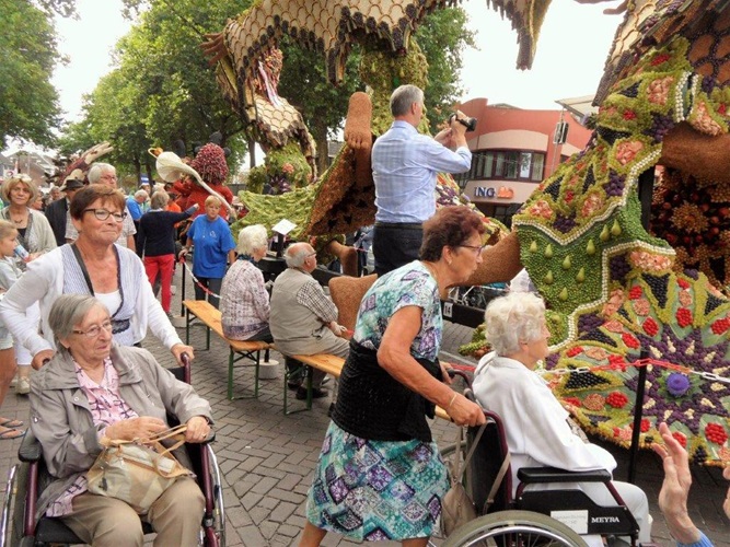 Zonnebloem afdeling