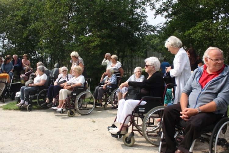 Zonnebloem afdeling