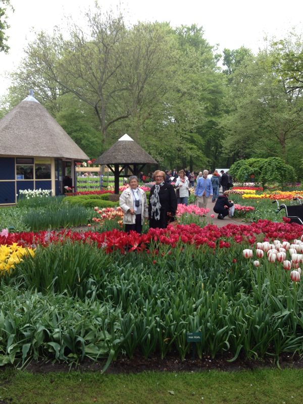 Zonnebloem afdeling