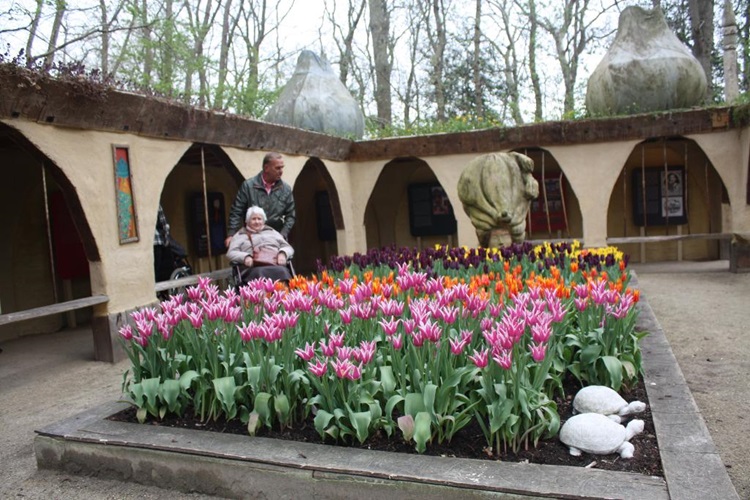 Zonnebloem afdeling