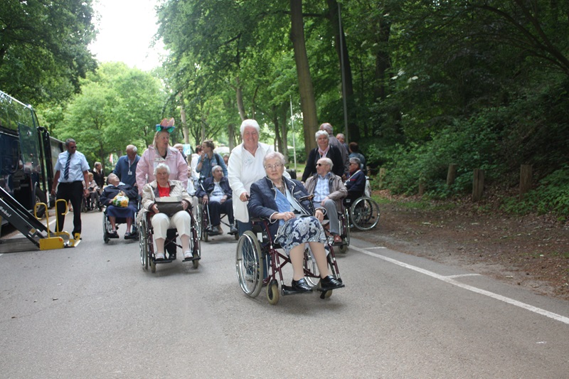 Zonnebloem afdeling