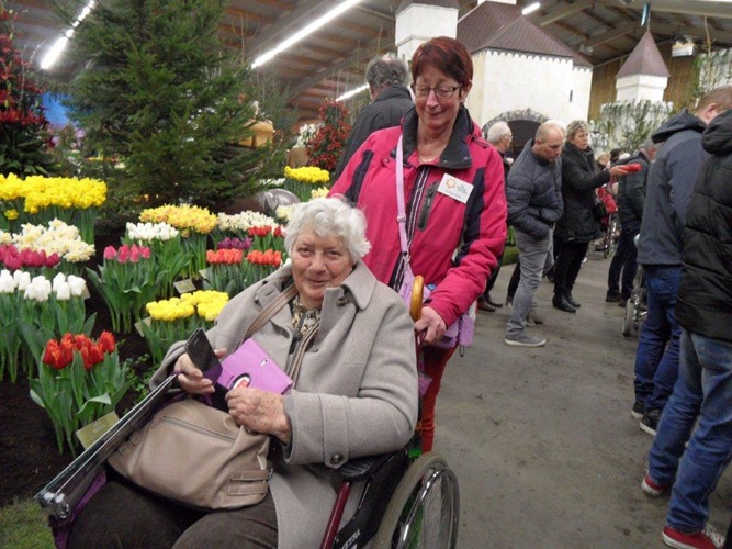 Zonnebloem afdeling