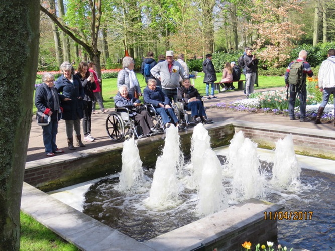Zonnebloem afdeling