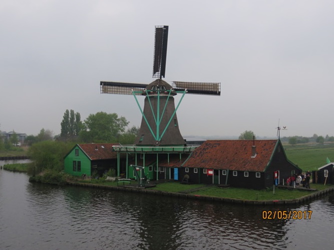 Zonnebloem afdeling