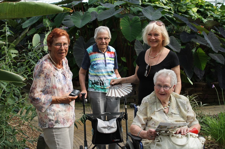 Zonnebloem afdeling