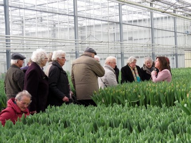 Zonnebloem afdeling