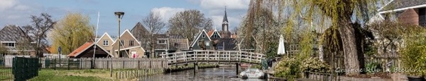 Zonnebloem afdeling