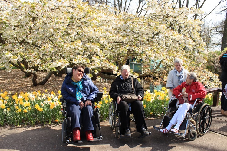 Zonnebloem afdeling