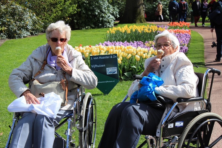 Zonnebloem afdeling