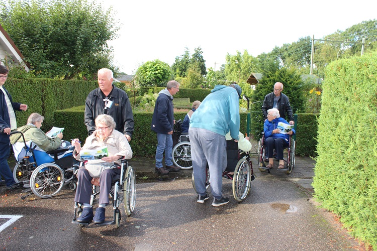 Zonnebloem afdeling