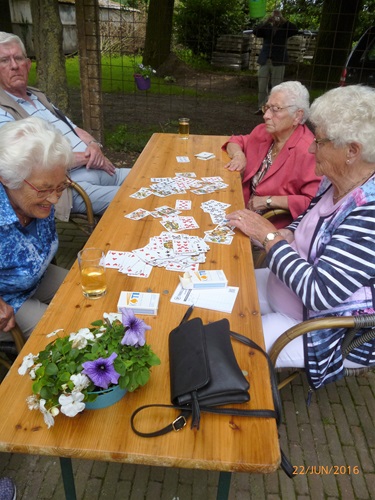 Zonnebloem afdeling
