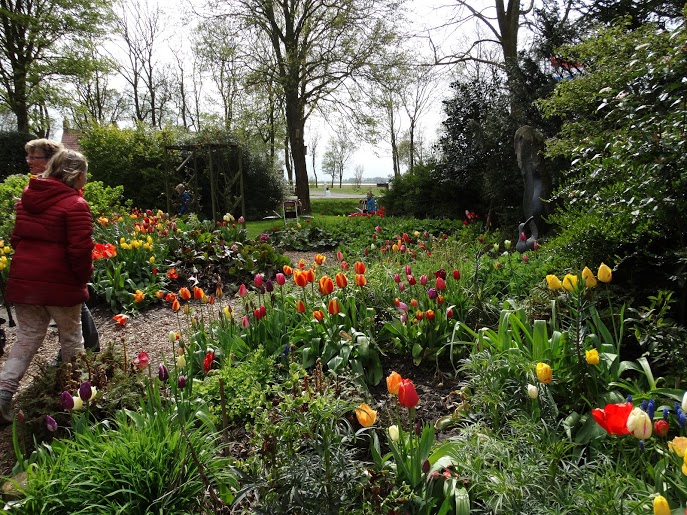 Zonnebloem afdeling