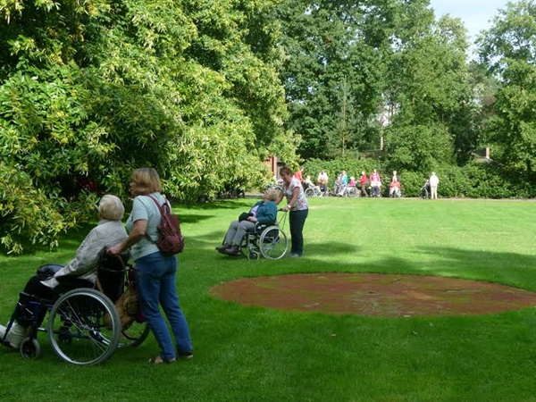 Zonnebloem afdeling