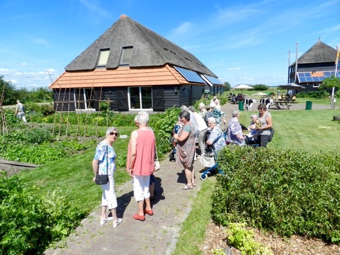 Zonnebloem afdeling