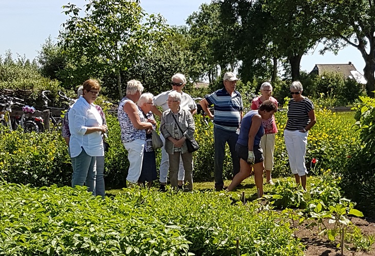 Zonnebloem afdeling