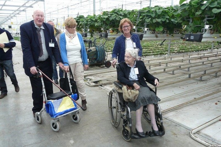 Zonnebloem afdeling