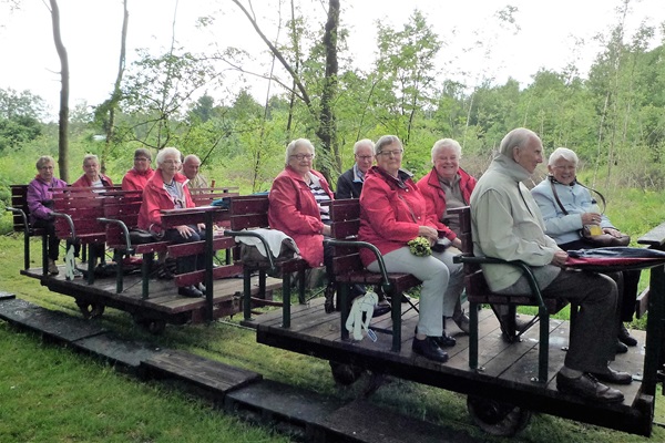 Zonnebloem afdeling