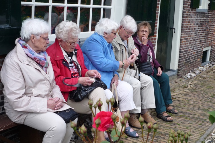 Zonnebloem afdeling