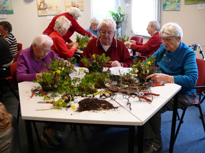 Zonnebloem afdeling