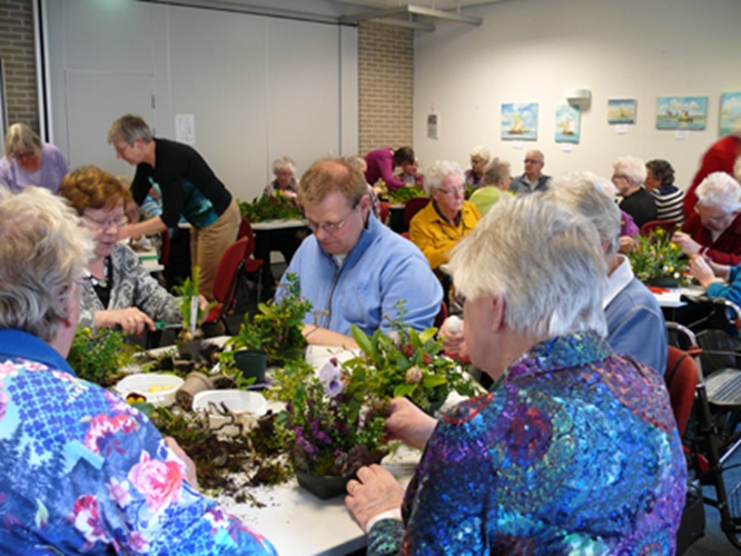 Zonnebloem afdeling