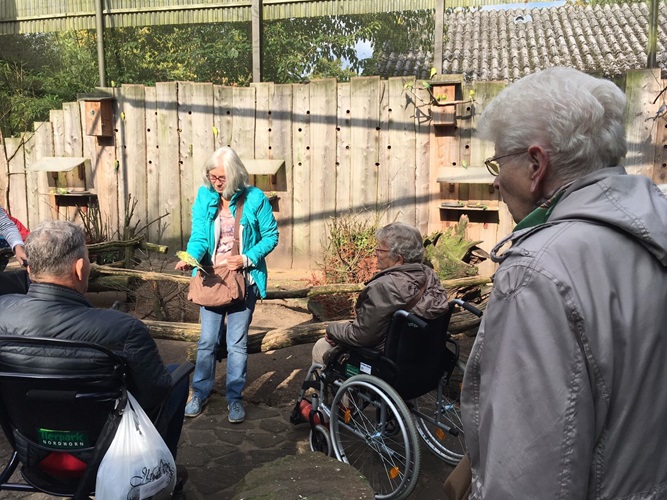 Zonnebloem afdeling